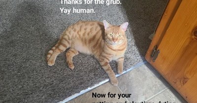 Obligations continue