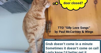 TTO "Silly Love Songs" by Paul McCartney & Wings