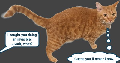 Do I really want to find out?