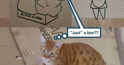 Box blasphemy
