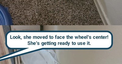 "The Power Of Pawsitive Thinking" (Not a book title by Norman Vincent Peale)