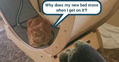 What a strange design