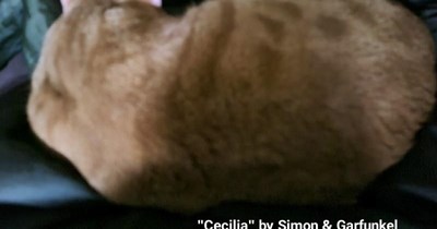 "Cecilia" by Simon & Garfunkel