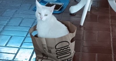 Keeping the buns warm