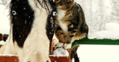 Don't shoot the messenger.