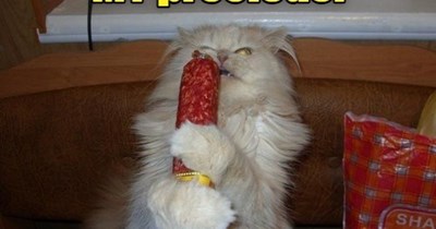 The only ring I want is made of bologna.