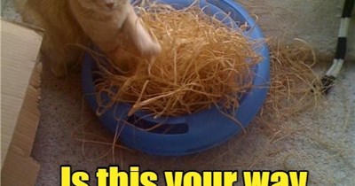 Hay, that's not fair.