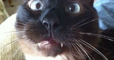 Relationship status: It's complicated