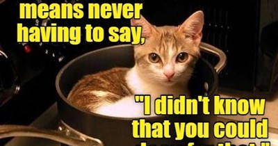 Deep fried butter anyone?