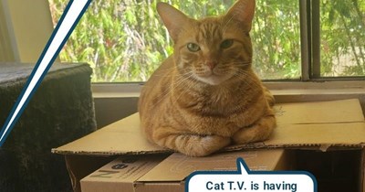 Whatever that might be