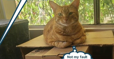 Now you close it? Too late