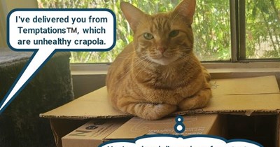 "Catnip & chill" chicken treats leave cat cold