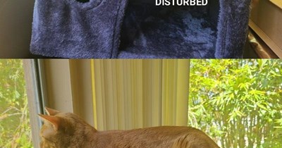 "Cross Eyed Mary" by Jethro Tull