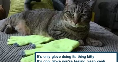 "It's Only Love Doing Its Thing" by Barry White