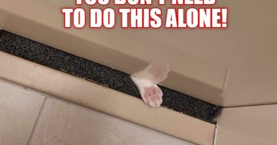 Do you need bathroom help?