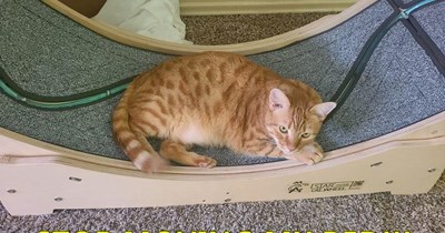 It should be stationery