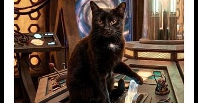 "Calling Dr. Love" by KISS