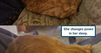 "Get my good side" ("But they're all good")