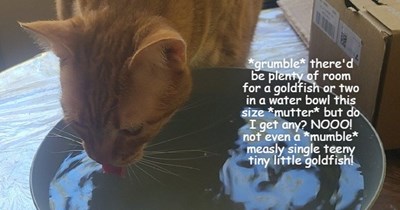 Complain to the manager