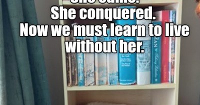 R.I.P, my darling. April 2026.