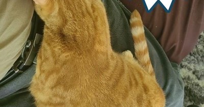 Do I get a doggie biscuit?