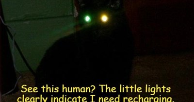 Quickly, before I go offline