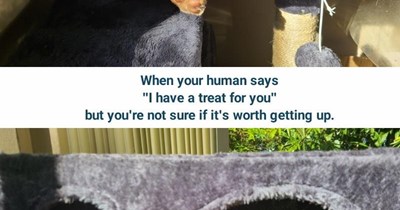 Decisions, Decisions