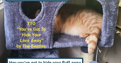 TTO "You've Got To Hide Your Love Away" by The Beatles