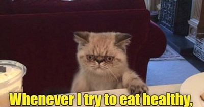 Why try?