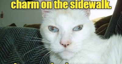 Try saying that with a straight face.