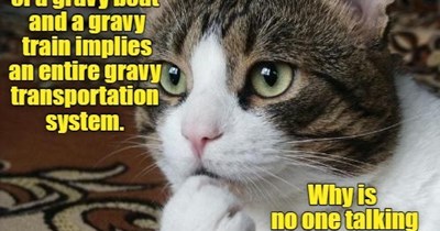 Inquiring minds want to know.