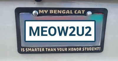 MEOW2U2