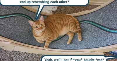 "I'll bet you wouldn't"