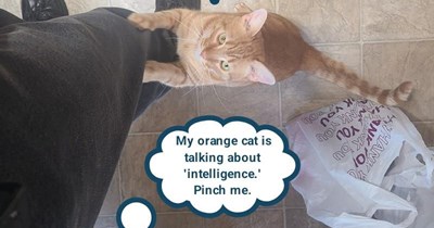 Are you sure that includes you?