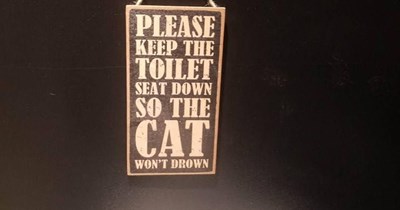 FOLLOW THE RHYMING PSA  SAVE A CAT TODAY