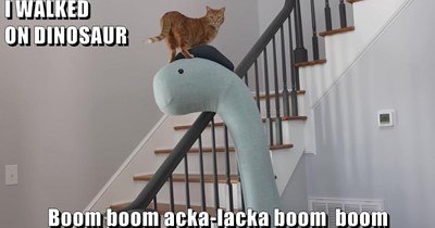 I WALKED                                                                                      ON DINOSAUR  Boom boom acka-lacka boom  boom