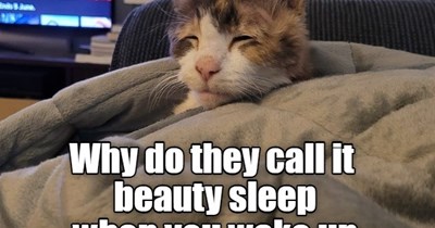 Woohoo!!! Lolcats HP congrats!!!