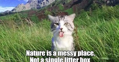 Very untidy