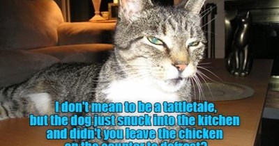 I don't mean to be a tattletale