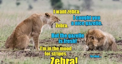 I want zebra