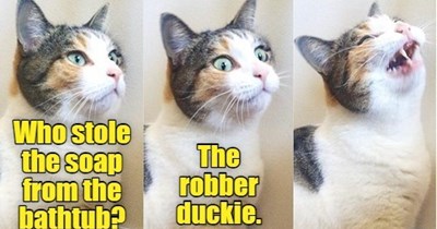 Joke Cat shouldn't quit his day job.