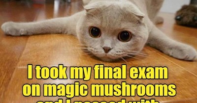 High marks.