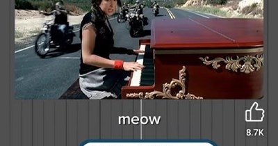"A thousand meows"