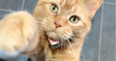 Demanding you feed me NOW!