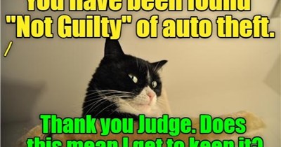 Meanwhile, at the courtroom...
