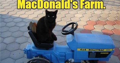On that farm he had a cat...