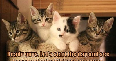 Ready?