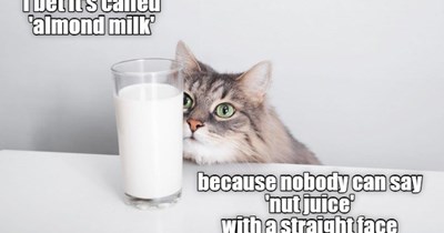 A logical conclusion