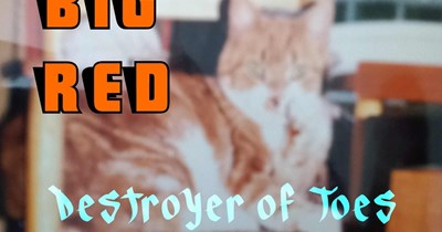 Big Red Destroyer of Toes