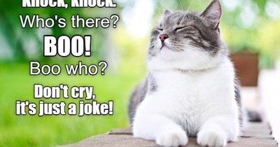 Just a joke